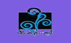 ارائه مشاوره تخصصی به موسسه تجسم خلاق