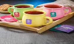 ارائه مشاوره تخصصی به جناب آقای علی دهکردی