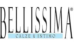 ارائه مشاوره تخصصی و تکمیلی به شرکت بلیسیما