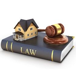 ارائه مشاوره تخصصی به سرکار خانم ریحانه رضویان